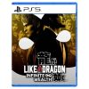 Like a Dragon Infinite Wealth Standard Edition PS5 Disc - (New)